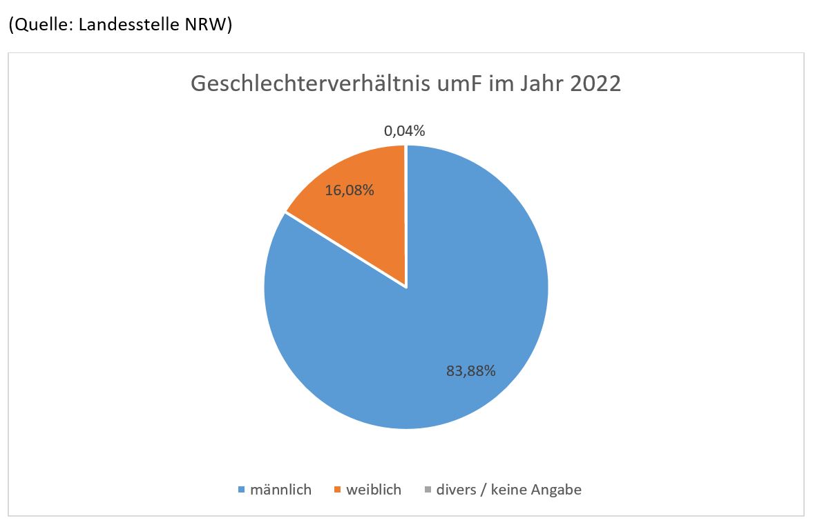 Dargestellt wird das Geschlechterverhältnis der umF im Jahr 2022 in einem Kreisdiagramm. 16,08% der umF ist weiblich, 83,88% ist männlich und 0,04% ist divers bzw. dazu gibt es keine Angabe.