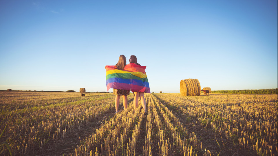 lesbisches paar lgbt flagge auf dem Feld