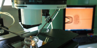 Das Bild zeigt eine künsltiche Befruchtung, die von einer Maschine durchgeführt wird. Im Hintergrund ist ein Monitor, der die Befruchtung vergrößert darstellt.